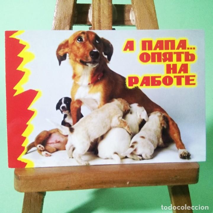 Coleccionismo Calendarios: CALENDARIO - PERROS. FRASES . 2003 . RUSO - T3