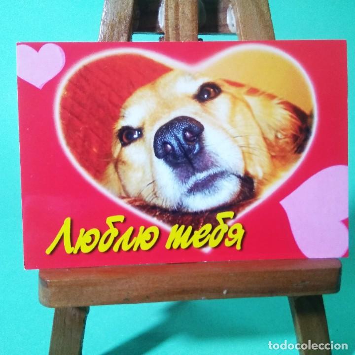 Coleccionismo Calendarios: CALENDARIO - PERROS. FRASES . 2003 . RUSO - T3