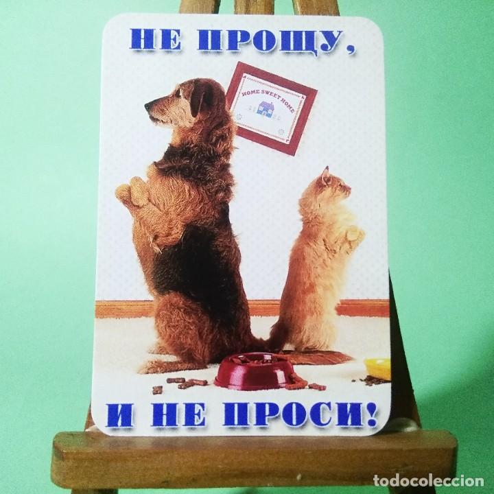 Coleccionismo Calendarios: CALENDARIO - PERROS. FRASES . 2004. RUSO - T3