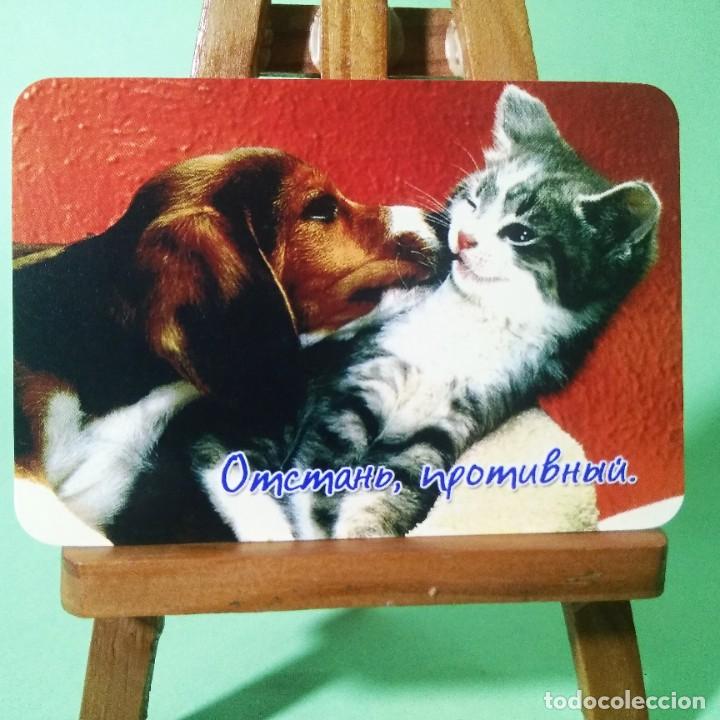 Coleccionismo Calendarios: CALENDARIO - PERROS GATOS . FRASES . 2004. RUSO - T3