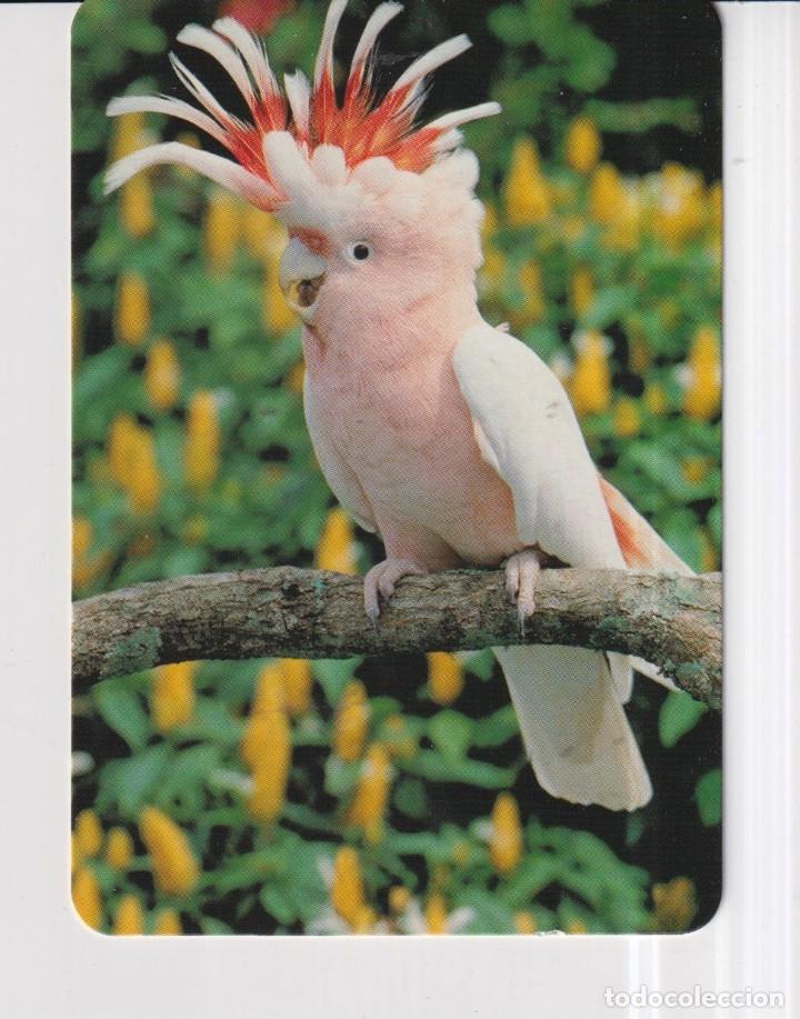 Colecionismo Calend&aacute;rios: CALENDARIO DE PAPAGAYO DEL A&Ntilde;O 2001 CASA L. N&ordm; 155 SIN PUBLICIDAD EN ESP