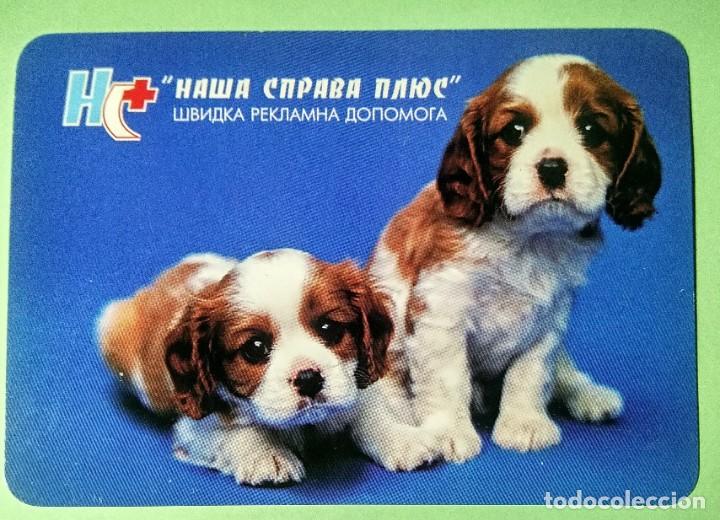 Sammeln von Kalendern: CALENDARIO PERROS . A&Ntilde;O 2000 . RUSIA . T3
