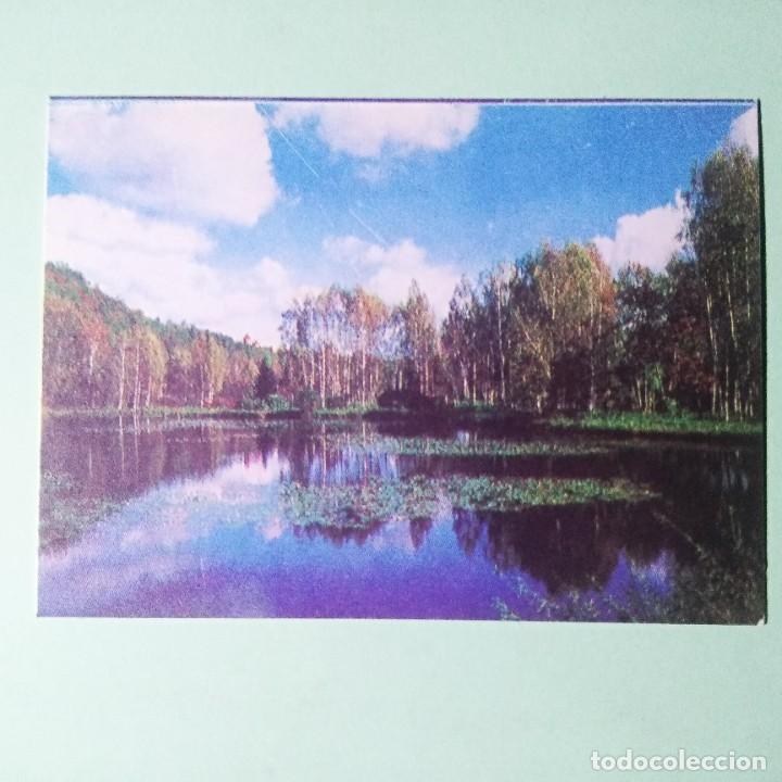 Coleccionismo Calendarios: CALENDARIO PARQUE PAISAJE RUSIA 1993 . RUSIA . T4