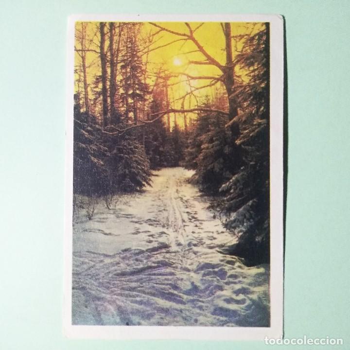 Coleccionismo Calendarios: CALENDARIO PARQUE PAISAJE RUSIA 1988 . RUSIA . T4