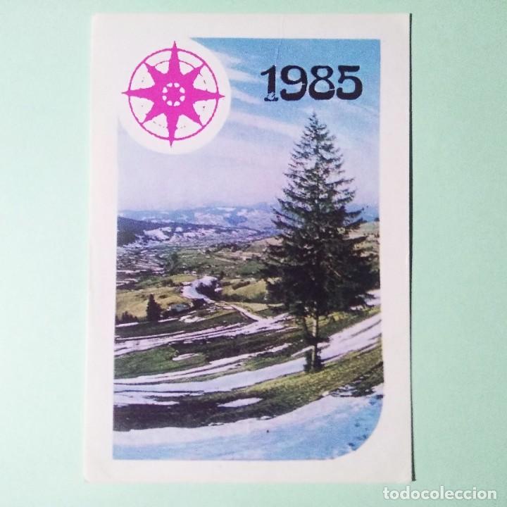 Coleccionismo Calendarios: CALENDARIO PARQUE PAISAJE RUSIA 1985 . RUSIA . PLASTIFICADO . T4