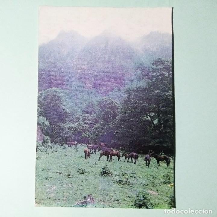 Coleccionismo Calendarios: CALENDARIO PARQUE PAISAJE RUSIA 1992 . RUSIA . T4
