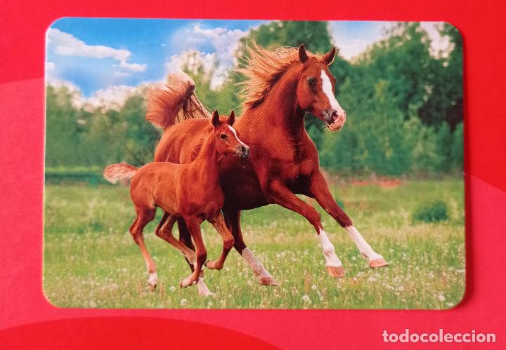 Sammeln von Kalendern: CALENDARIO SERIE BO 517. CABALLOS. A&Ntilde;O 2016. SIN PUBLICIDAD.