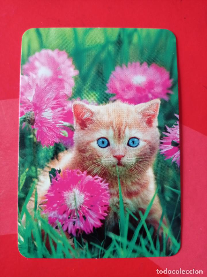 Sammeln von Kalendern: CALENDARIO SERIE BO 521. GATITO. A&Ntilde;O 2016. SIN PUBLICIDAD.
