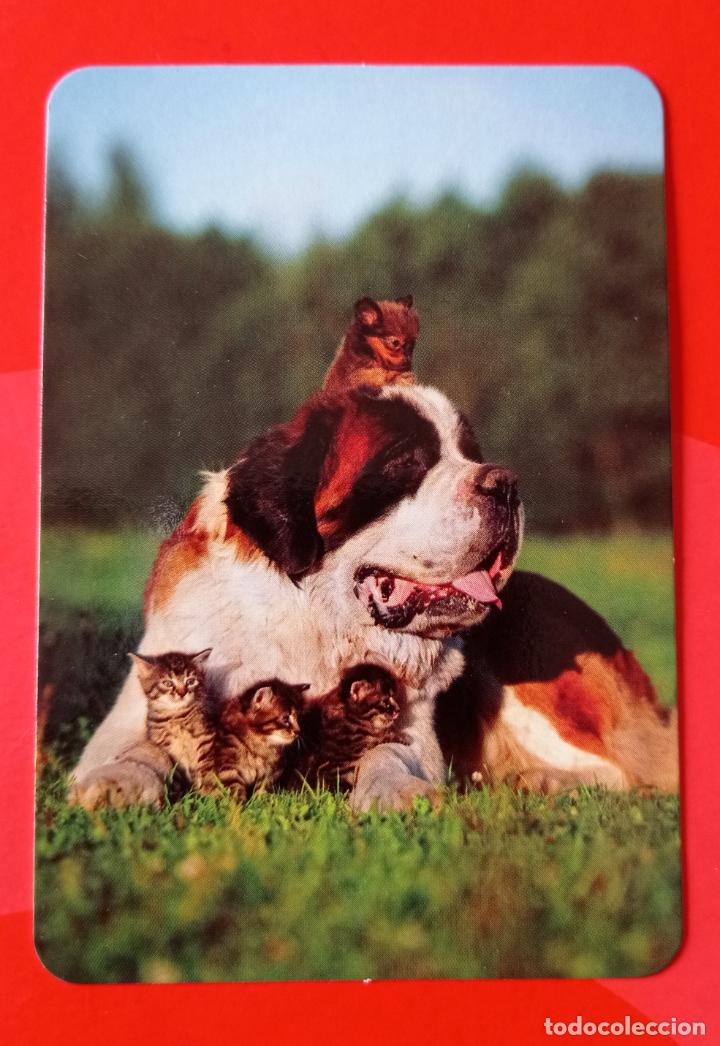 Sammeln von Kalendern: CALENDARIO SERIE BO 524. PERRO. A&Ntilde;O 2016. SIN PUBLICIDAD.