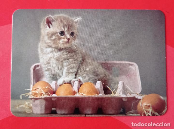 Sammeln von Kalendern: CALENDARIO SERIE BO 523. GATITO. A&Ntilde;O 2016. SIN PUBLICIDAD.