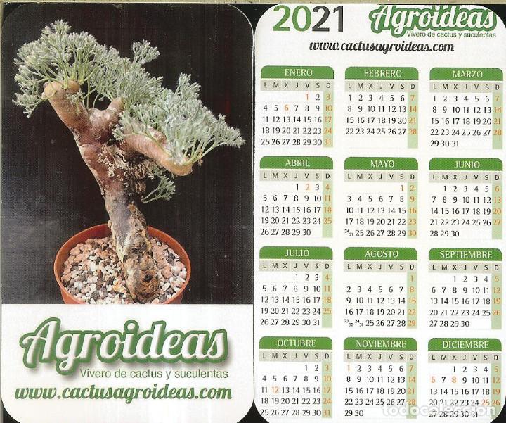 Coleccionismo Calendarios: CALENDARIO PUBLICIDAD - 2021 - CACTUS AGROIDEAS
