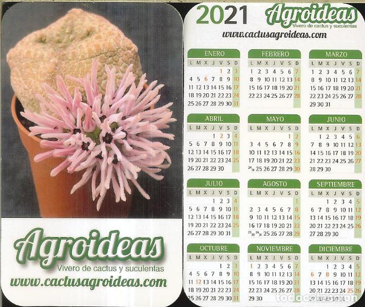Coleccionismo Calendarios: CALENDARIO PUBLICIDAD - 2021 - CACTUS AGROIDEAS