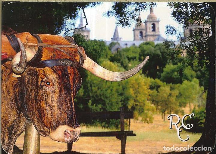 Coleccionismo Calendarios: CALENDARIO PUBLICIDAD - 2019 - REAL CABA&Ntilde;A DE CARRETEROS DE GREDOS