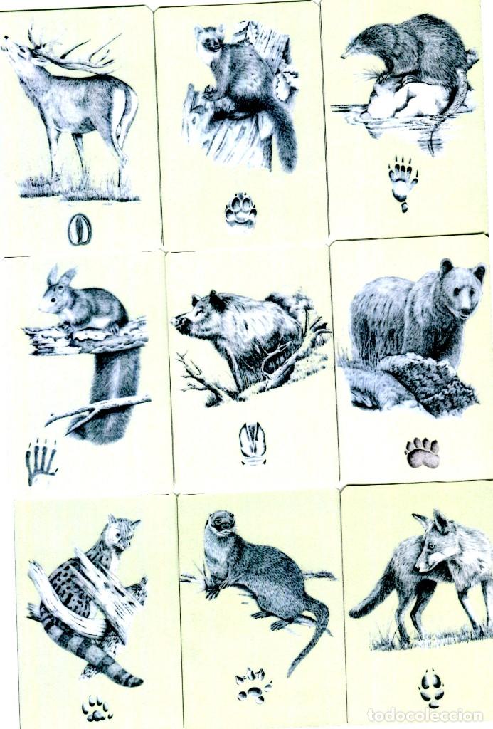 Coleccionismo calendarios: 9 CALENDARIOS DIBUJOS DE ANIMALES, A&Ntilde;O 2015, EMISION PARTICULAR