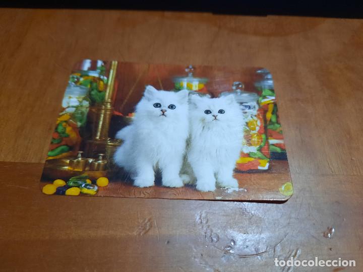 Coleccionismo Calendarios: GATOS BLANCOS. SOCIEDAD PROTECTORA GRANADA. 1983. CALENDARIO. BUEN ESTADO. PROMO. DIFICIL
