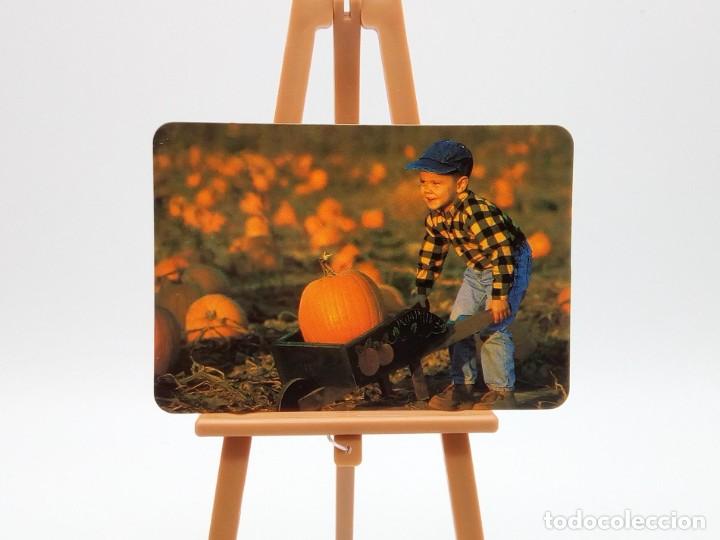 Coleccionismo Calendarios: Calendario de bolsillo 1998 (n&ordm; 6)