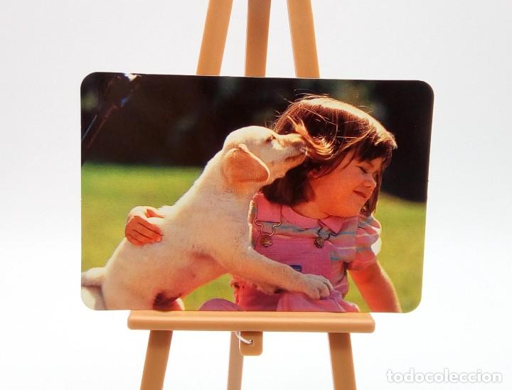 Coleccionismo Calendarios: Calendario de bolsillo 1998 (n&ordm; 14)