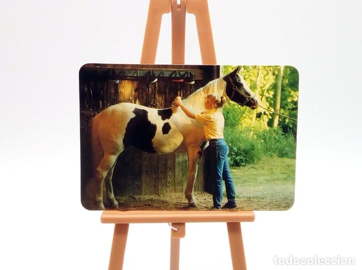 Collectables Calendars: Calendario de bolsillo 1998 (n&ordm; 16)