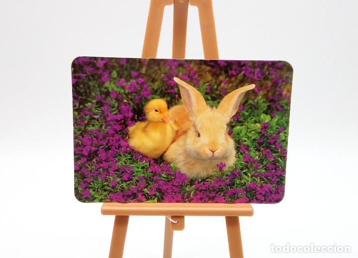 Collectables Calendars: Calendario de bolsillo 1998 (n&ordm; 19)