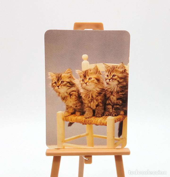 Collectables Calendars: Calendario de bolsillo 1998 (n&ordm; 21)