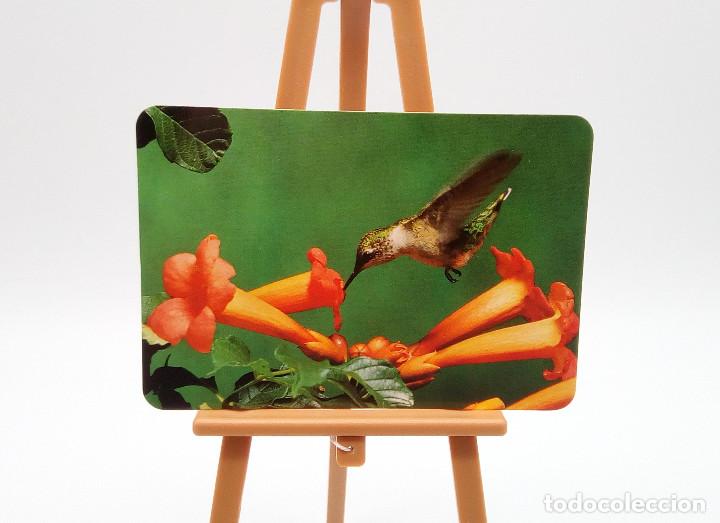 Collectables Calendars: Calendario de bolsillo 1998 (n&ordm; 22)