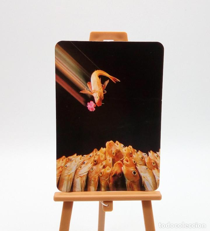 Collectables Calendars: Calendario de bolsillo 1998 (n&ordm; 23)