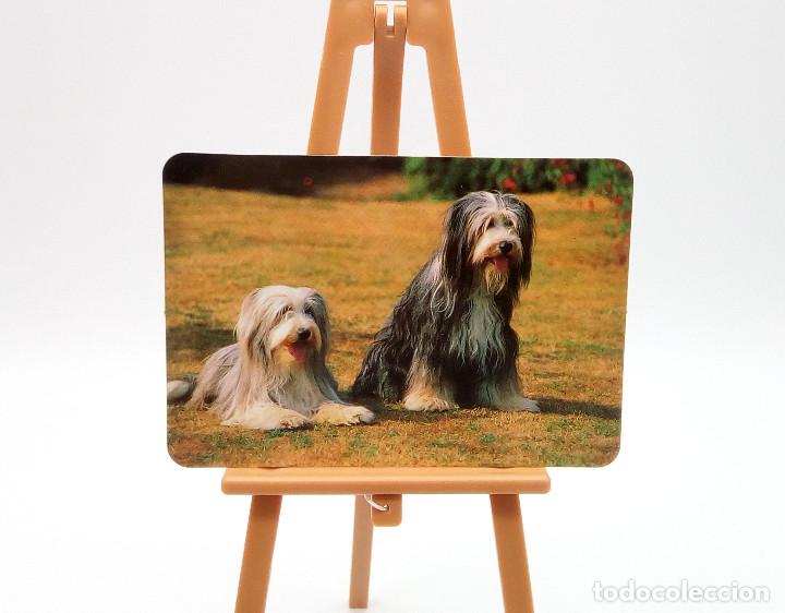 Collectables Calendars: Calendario de bolsillo 1998 (n&ordm; 25)