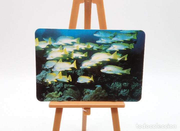 Collectables Calendars: Calendario de bolsillo 1998 (n&ordm; 27)