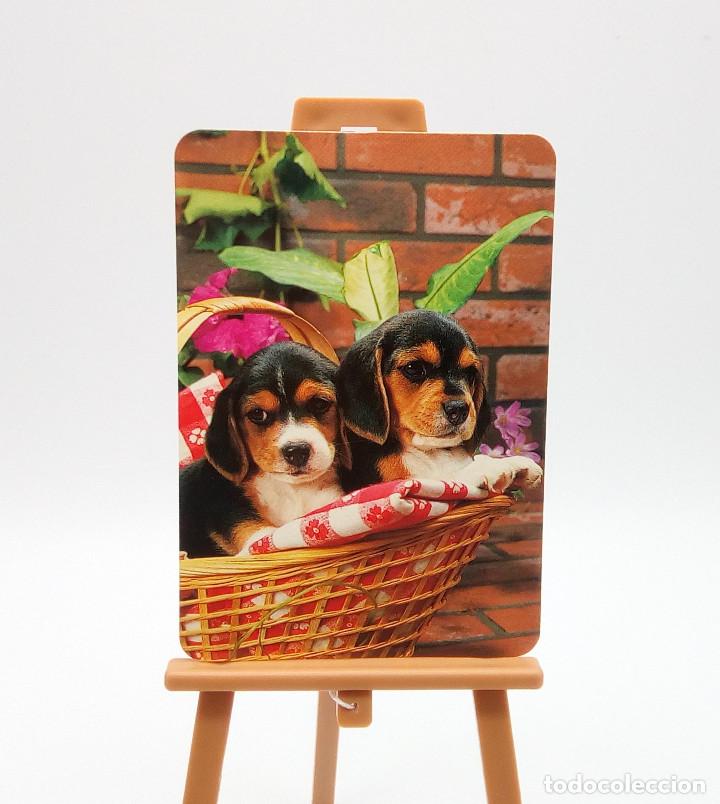 Collectables Calendars: Calendario de bolsillo 1998 (n&ordm; 28)