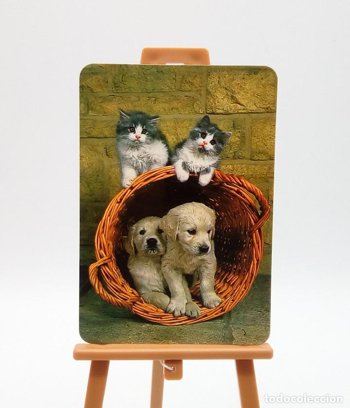 Collectables Calendars: Calendario de bolsillo 1998 (n&ordm; 45)