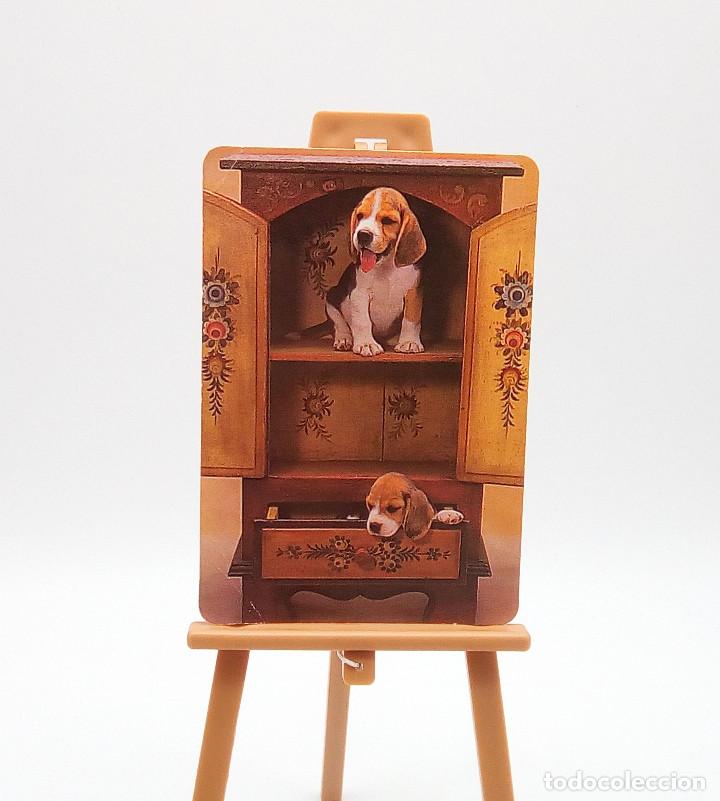 Sammeln von Kalendern: Calendario de bolsillo 2000 (n&ordm; 5)