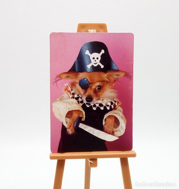 Collectionnisme Calendriers: Calendario de bolsillo 2005 (n&ordm; 6)