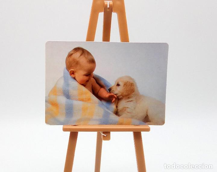 Sammeln von Kalendern: Calendario de bolsillo 2006 (n&ordm; 4)