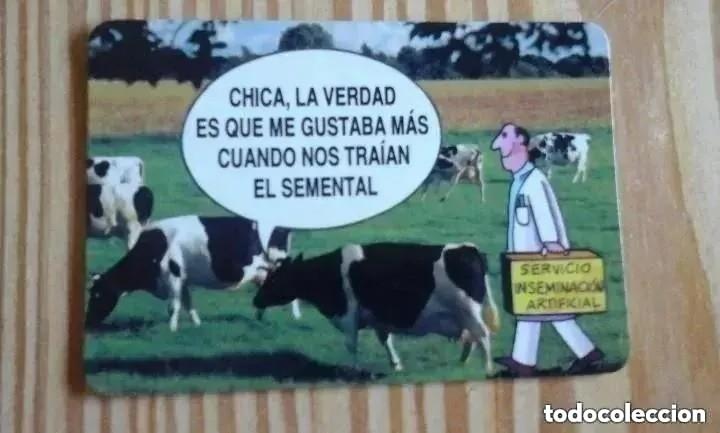 Coleccionismo calendarios: calendario de bolsillo 1996 - Foto 1