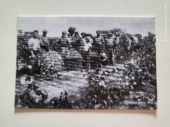 Collezionismo Calendari: CALENDARIO DE BOLSILLO IMAGEN B/N VAREMO VENDIMIA