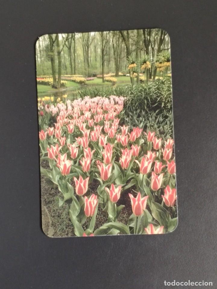 Coleccionismo Calendarios: Calendario bolsillo - LIBRER&Iacute;A CLARET - A&ntilde;o 2005