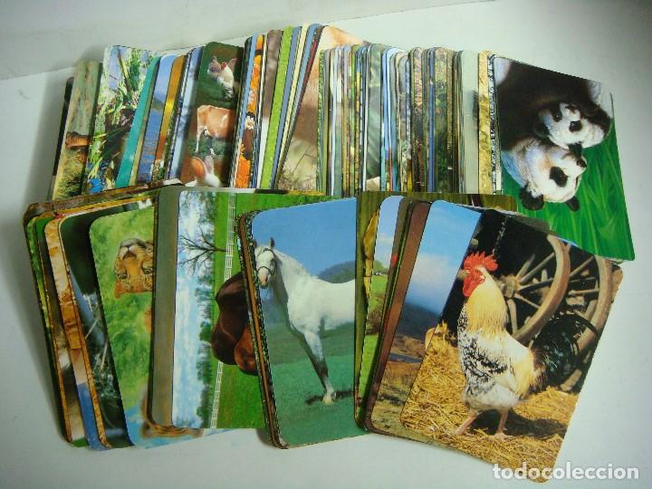 Coleccionismo calendarios: CALENDARIOS DE BOLSILLO LOTE DE 189 CALENDARIOS DE ANIMALES DIFERENTES-LOTE-N&ordm;-582