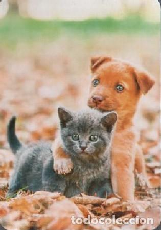 Coleccionismo calendarios: CALENDARIO PERRO Y GATO CAL-9685 ,5