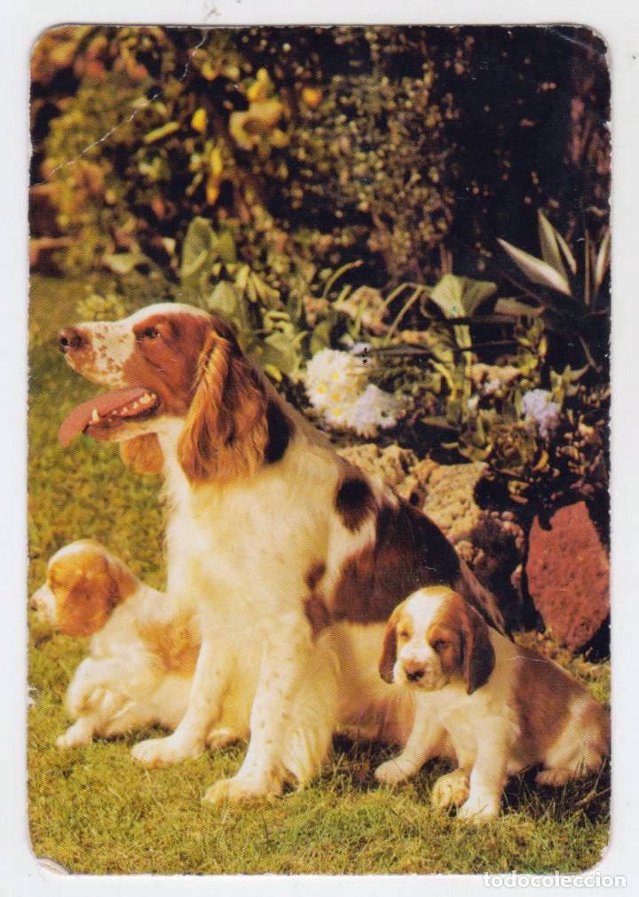 Coleccionismo calendarios: L-247 - PUBLICIDAD CUATRO ROSAS - A&Ntilde;O 1999