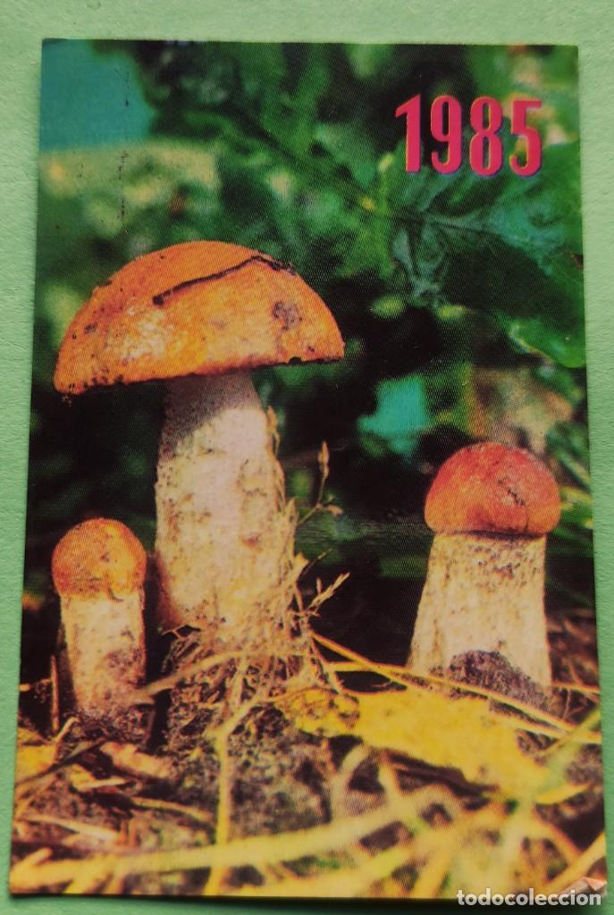 Colecionismo Calend&aacute;rios: CALENDARIO SETAS 1985 . RUSO
