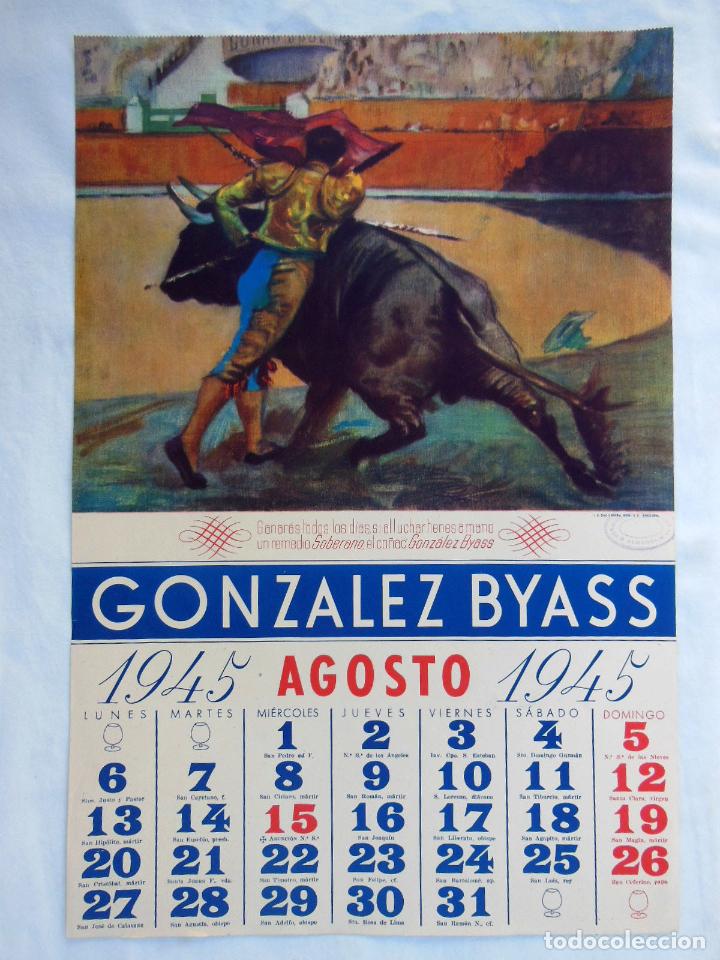 Colecionismo Calend&aacute;rios: Hoja Calendario : TOROS, AGOSTO 1945. Publicidad Co&ntilde;ac Gonz&aacute;lez Byass