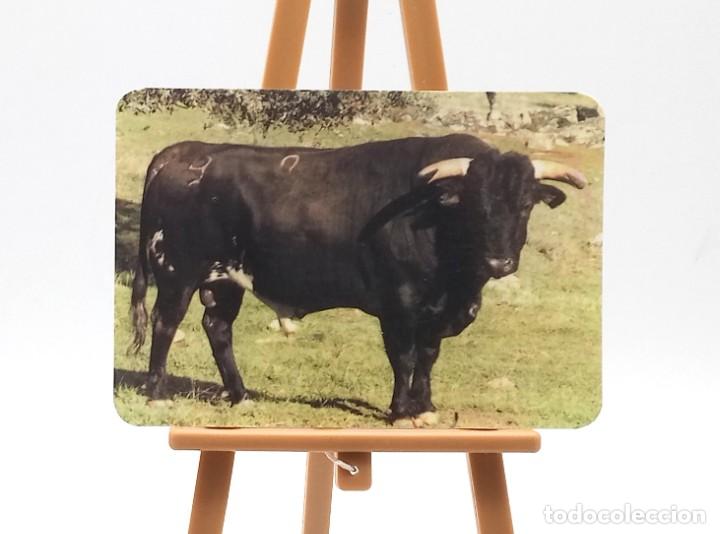 Colecionismo Calend&aacute;rios: Calendario de bolsillo - 2001 - Animales - Toro bravo