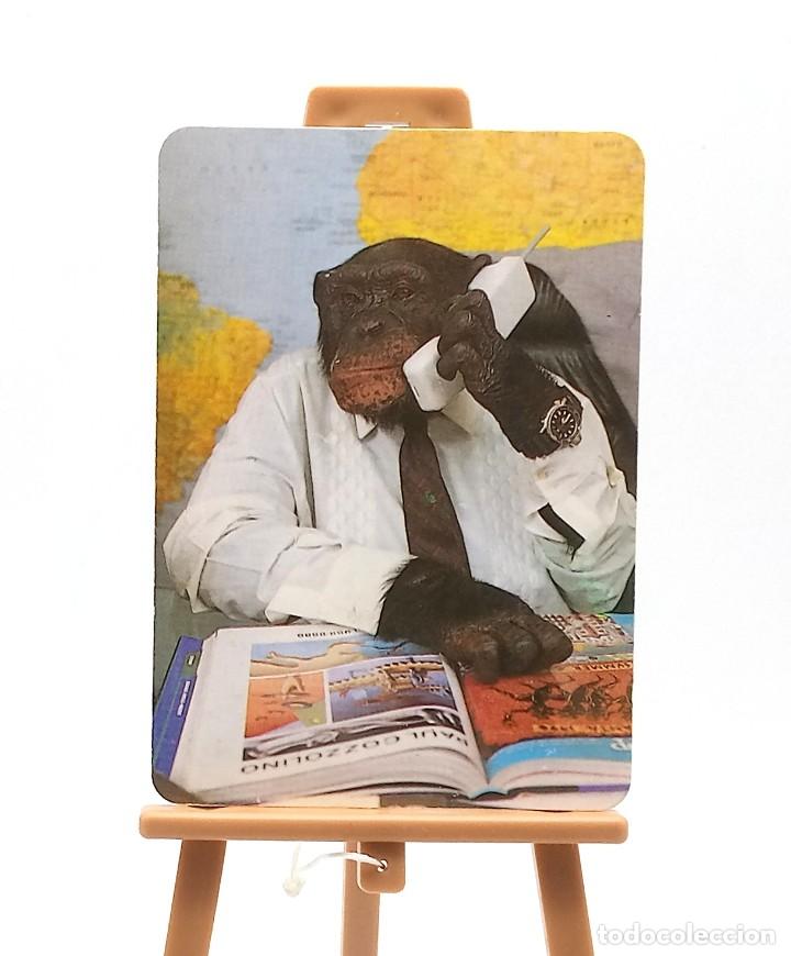Sammeln von Kalendern: Calendario de bolsillo - 2002 - Animales - Chimpanc&eacute; - Serie BO 572