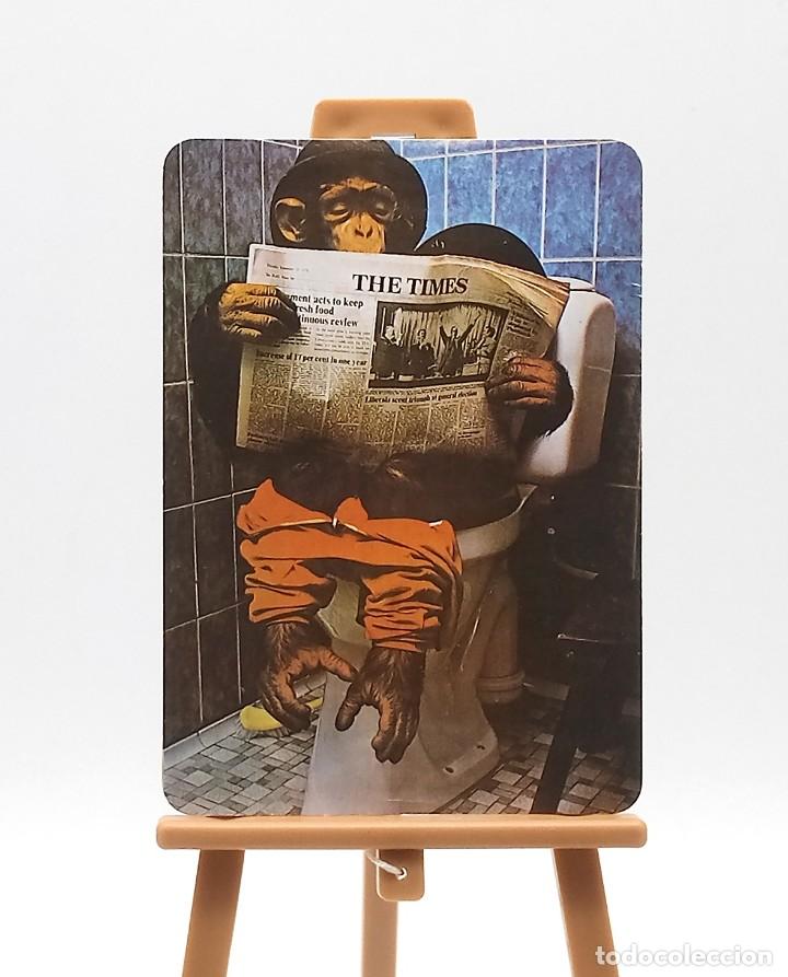 Colecionismo Calend&aacute;rios: Calendario de bolsillo - 2003 - Animales - Chimpanc&eacute; - Serie BO 571