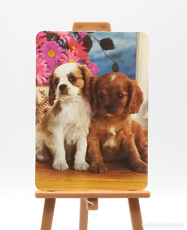 Coleccionismo Calendarios: Calendario de bolsillo - 2003 - Animales - Perros - Serie BO 578