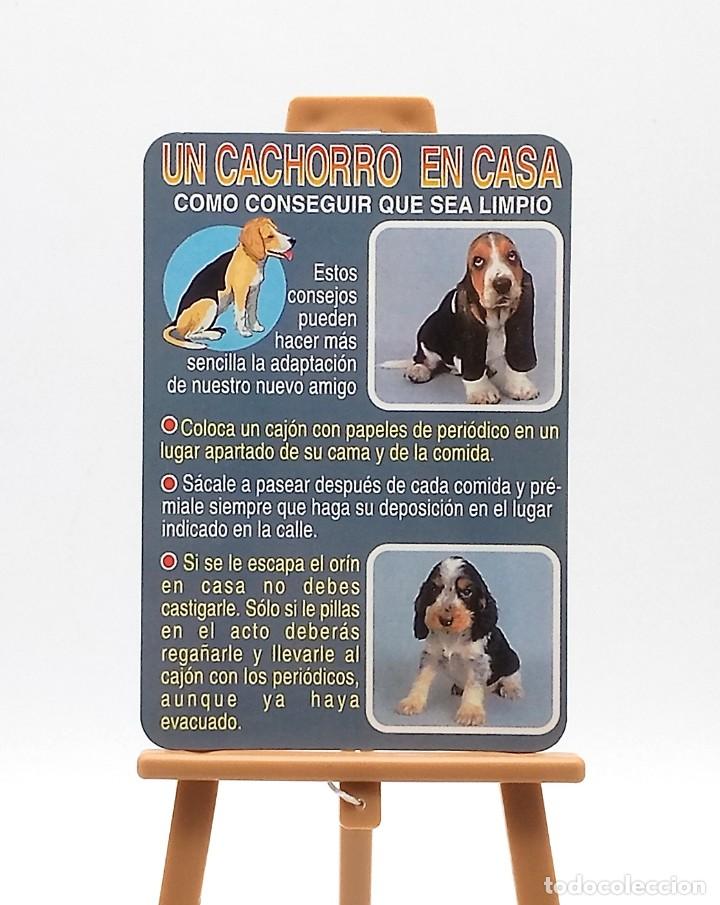 Coleccionismo Calendarios: Calendario de bolsillo - 2003 - Animales - Un cachorro en casa - Serie RR 78