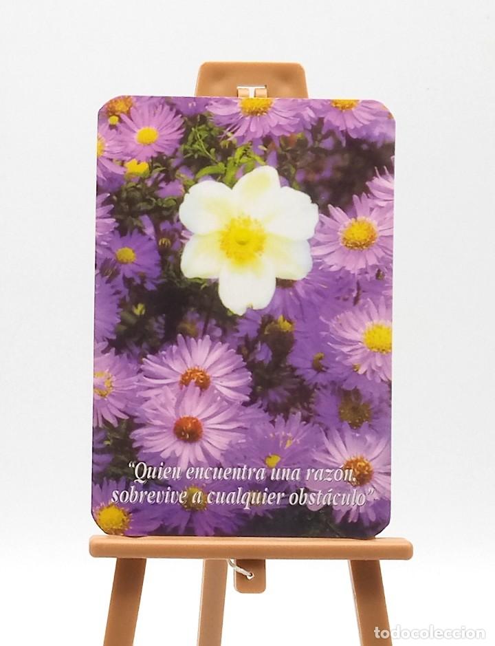 Colecionismo Calend&aacute;rios: Calendario de bolsillo - 2004 - Flores - Mensajes