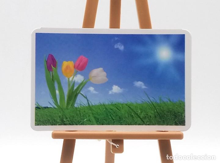Collezionismo Calendari: Calendario de bolsillo - 2017 - Flores - Tulipanes