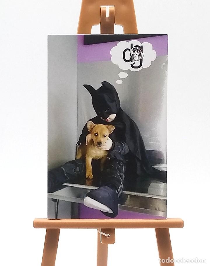 Colecionismo Calend&aacute;rios: Calendario de bolsillo - 2015 - Publicitario de Centro Veterinario Dogos