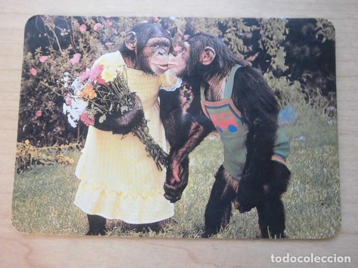 Colecionismo Calend&aacute;rios: Calendario animales(gato,perro,mono)